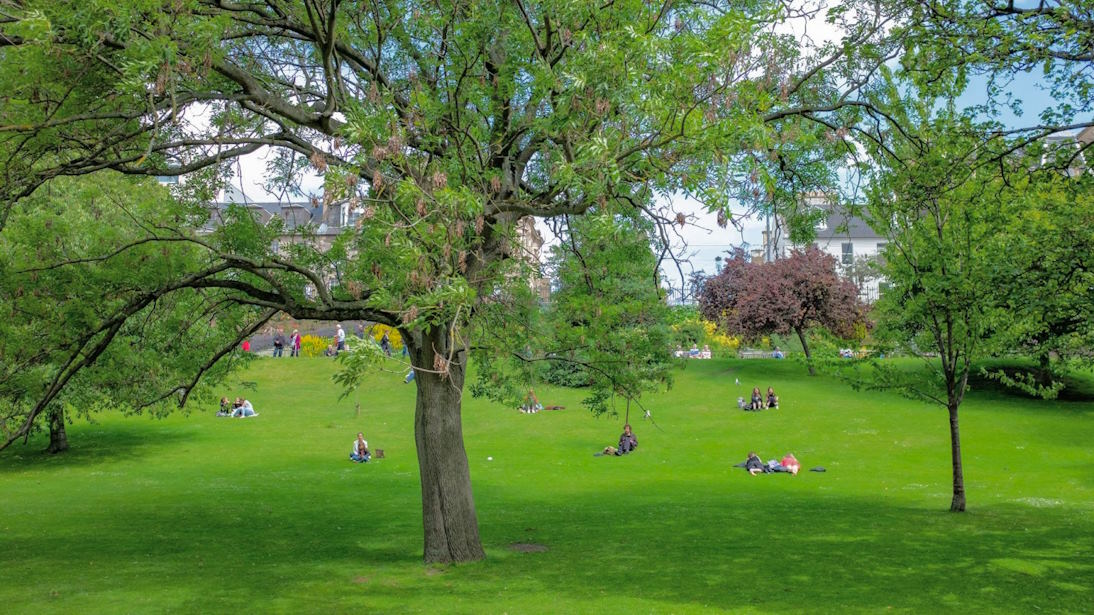 The Economic Impact of Parks on Local Communities