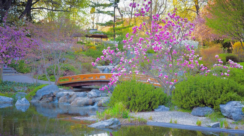 Japanese gardens